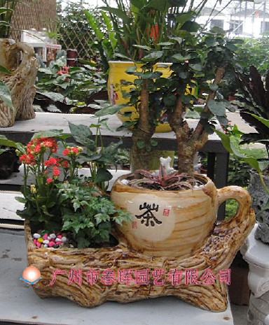 艺术小盆栽